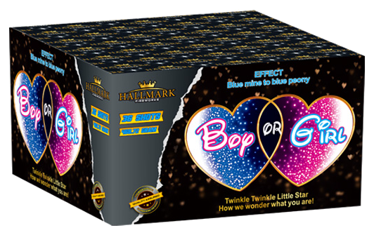 Boy Gender Reveal
